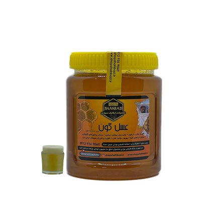 عسل گون دیابتی مخلوط 1 کیلوگرمی با 10گرم ژل رویال گرید A